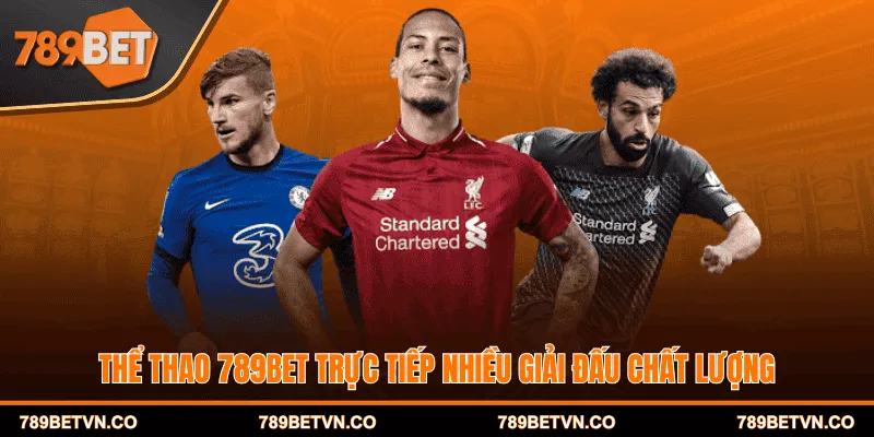 Thể thao 789bet trực tiếp nhiều giải đấu chất lượng